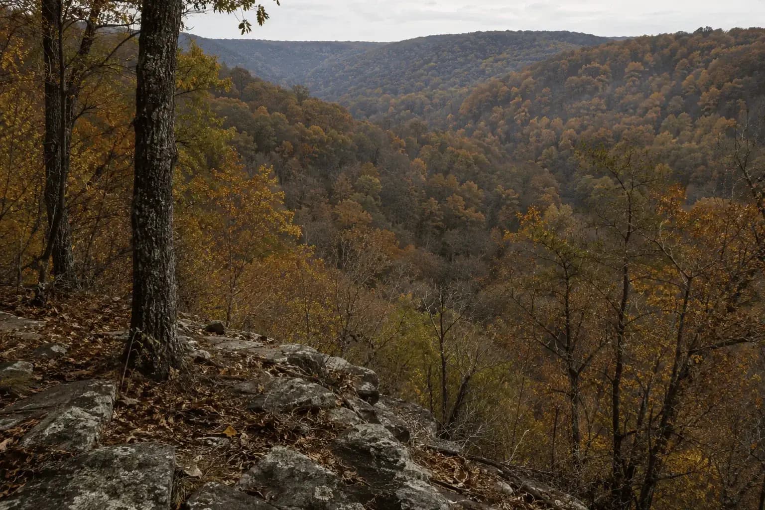 Rocky bluff overlooking an autumn hardwood hollow in the Arkansas Ozarks